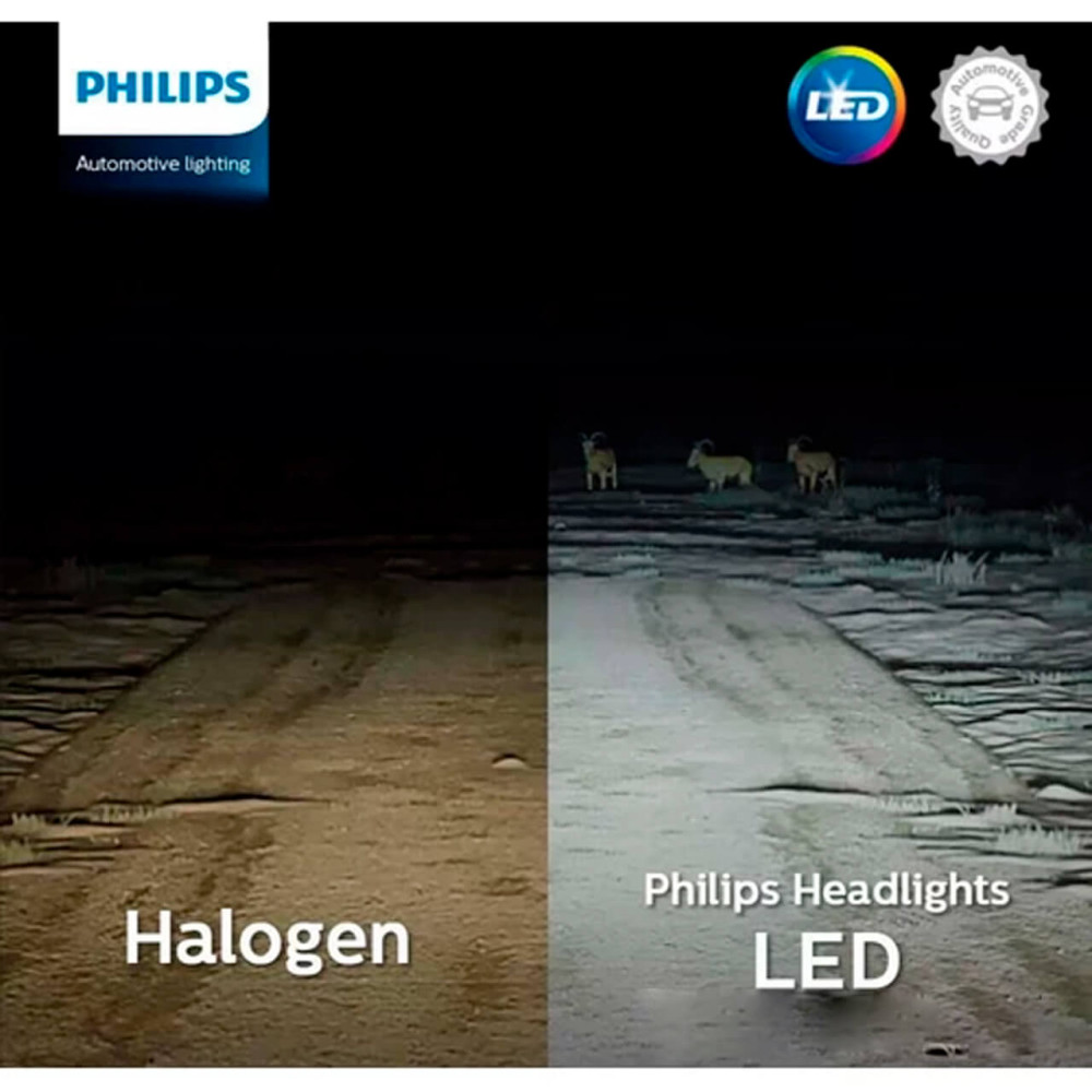 estrada_iluminada_led.jpg